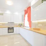 فيلة Sviba